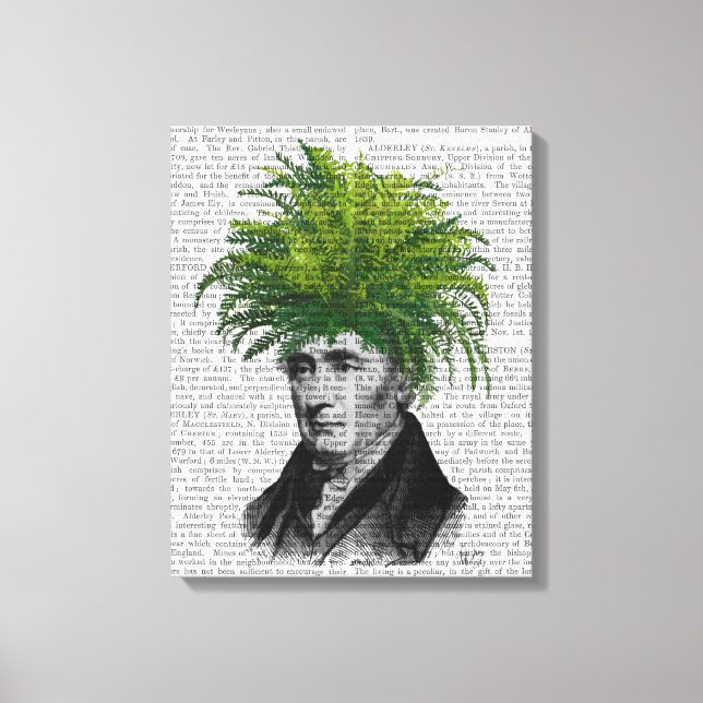 Toile Chef du Plante de Fern Head (Recto)