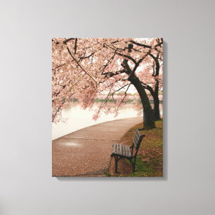 Toile Cherry Blossom