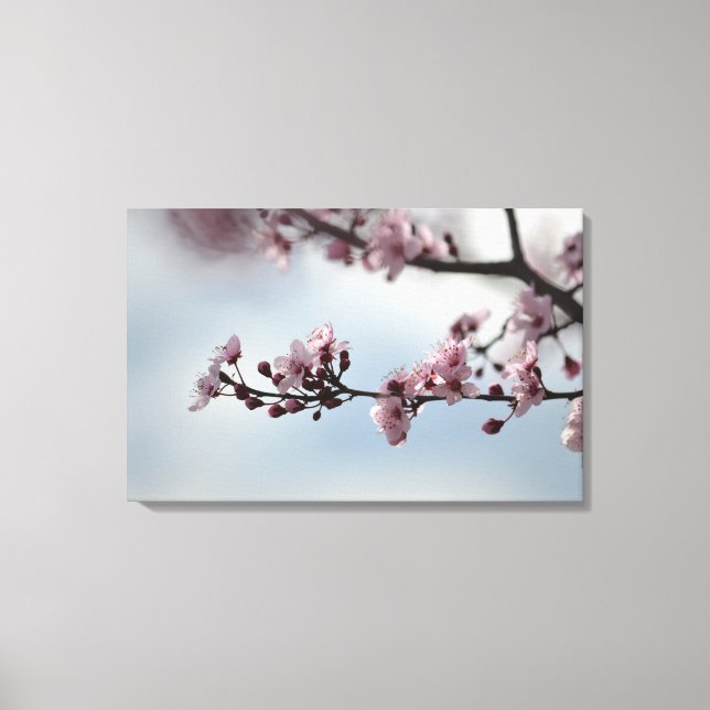 Toile Cherry Blossom et Sky (Recto)
