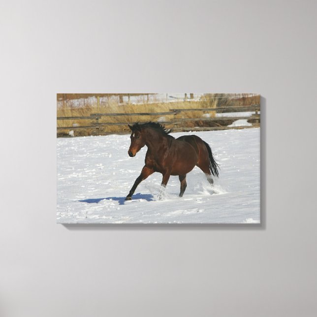 Toile Cheval à gorge profonde courant dans la neige (Recto)