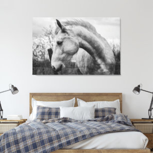 Toile Cheval blanc et sauvage frisé noir et blanc