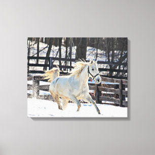 Toile Cheval blanc galopant