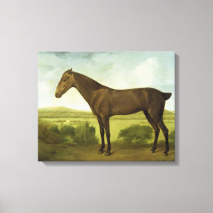 Toile Cheval Brown dans un paysage accidenté,