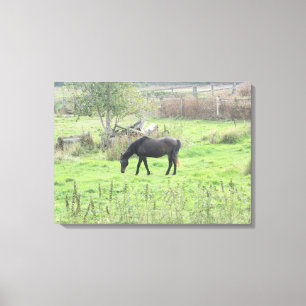 Toile Cheval Brun Paissant dans le Champ Photo Murale