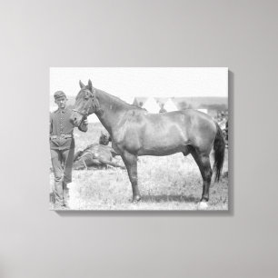 Toile Cheval "Comanche" le seul survivant du Custer