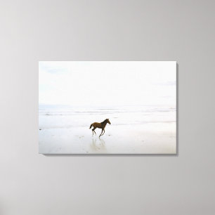 Toile Cheval courant sur la plage