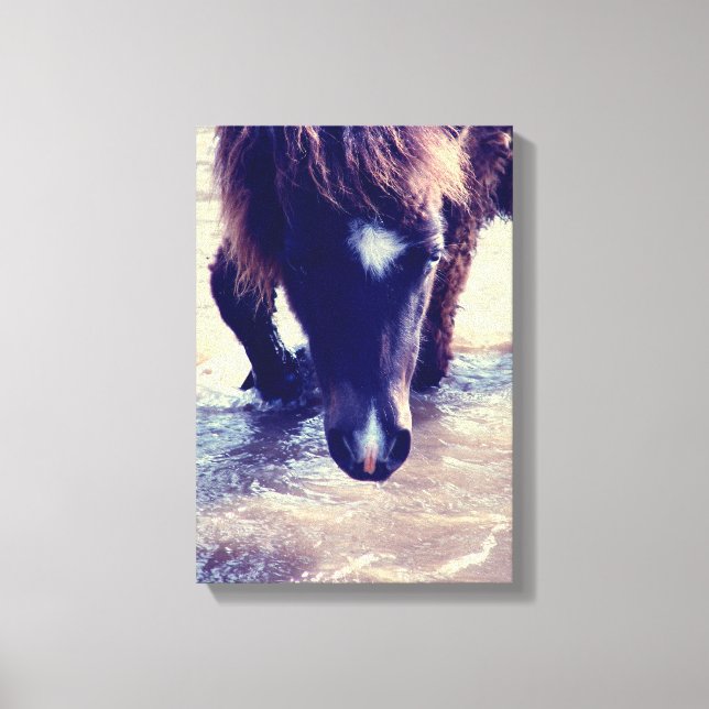 Toile Cheval de natation (Recto)