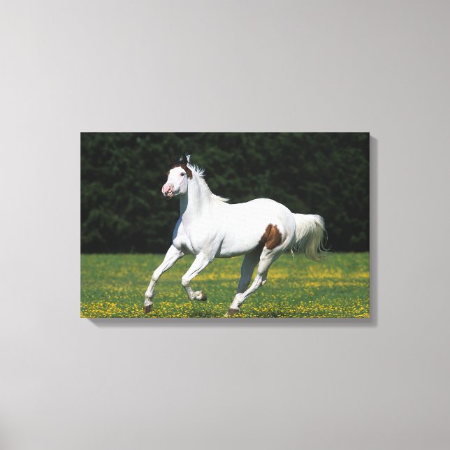 Toile Cheval de peinture courant dans le champ de gravit (Recto)