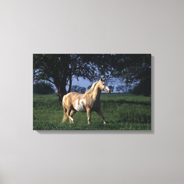 Toile Cheval de peinture debout 2 (Recto)