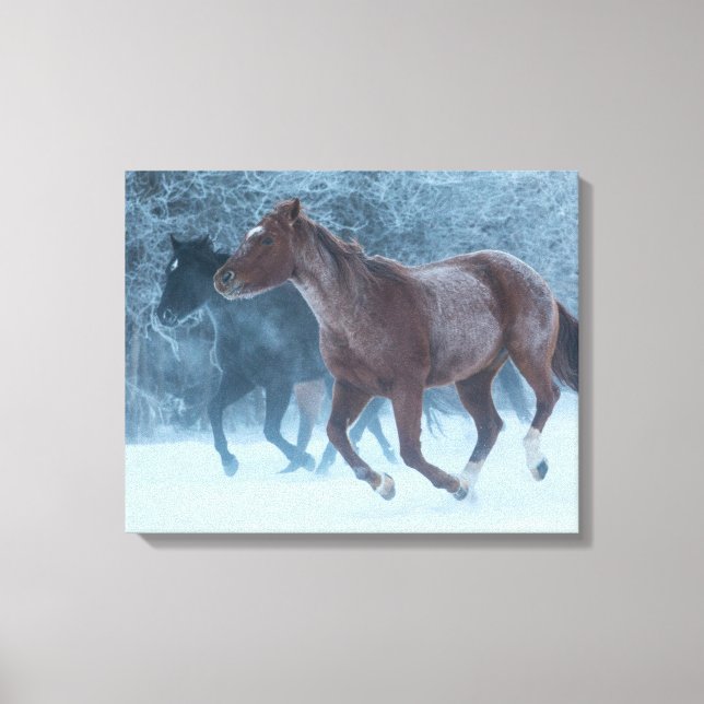 Toile Cheval Drive (Recto)