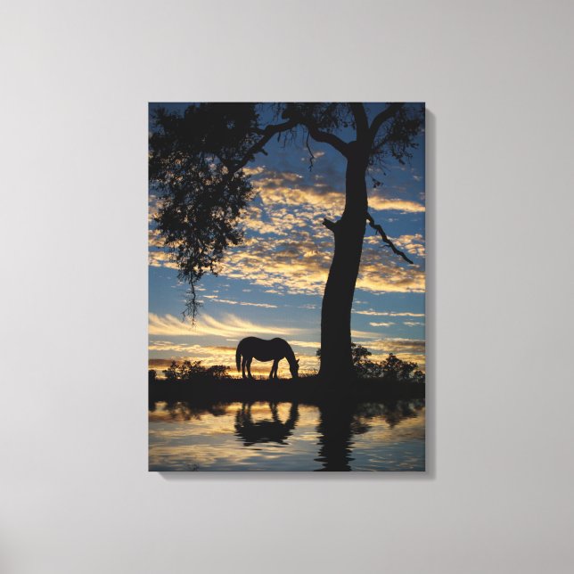 Toile Cheval et étang Joli paysage naturel (Recto)