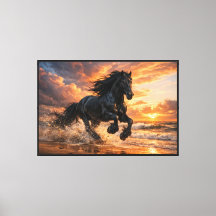 Cheval Frison Noir au Coucher du Soleil, Course Pu