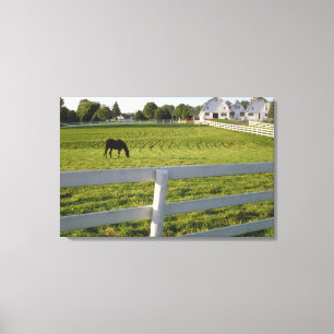 Toile Cheval frôlant à la ferme