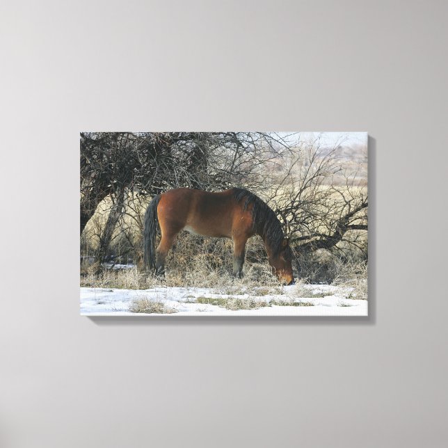 Toile Cheval Mustang sauvage dans la neige 1 (Recto)