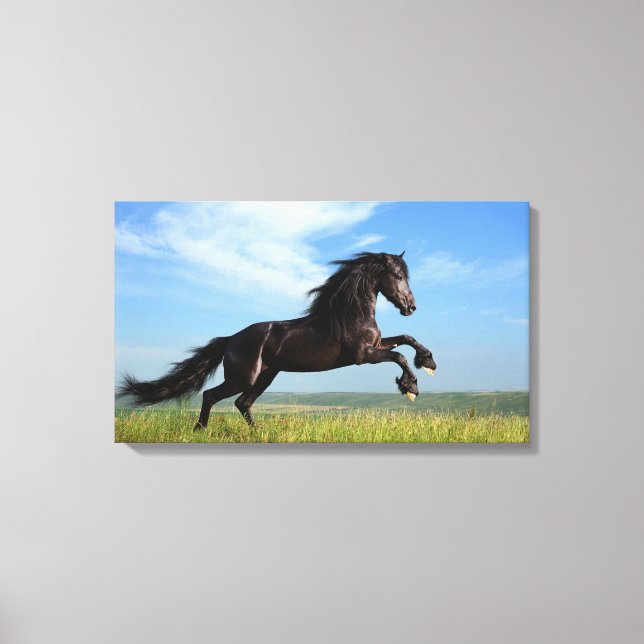 Toile Cheval noir (Recto)