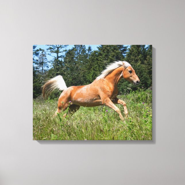Toile Cheval Palomino traversant une prairie (Recto)