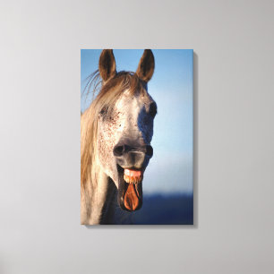 Toile cheval riant