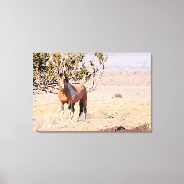 Toile Cheval sauvage des Steens du Sud (Recto)