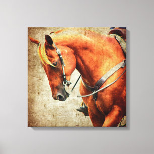Toile Cheval Sorrel Ouest