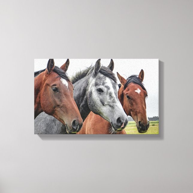 Toile Chevaux (Recto)