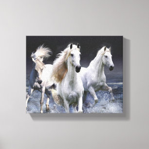 Toile Chevaux à lancer l'oreiller