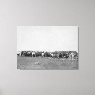 Toile Chevaux arrondis par la photographie de cowboys