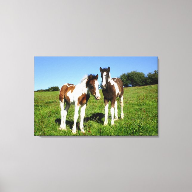 Toile Chevaux Bébés Deux Colts Mignons Doigts (Recto)