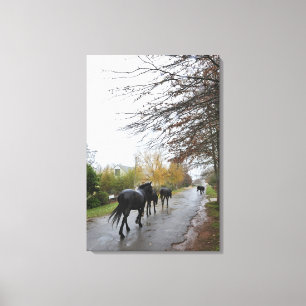 Toile Chevaux marchant sur Oak Street sous la pluie, Gre