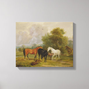 Toile Chevaux : Mares et poulains dans un champ (huile s