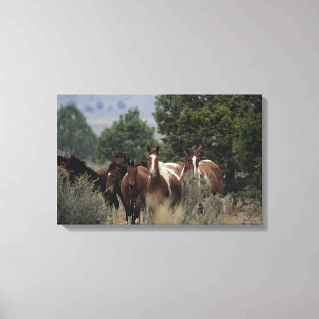 Toile Chevaux Mustang Sauvages 2 (Recto)