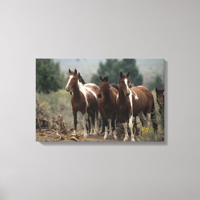 Toile Chevaux Mustang Sauvages 7 (Recto)