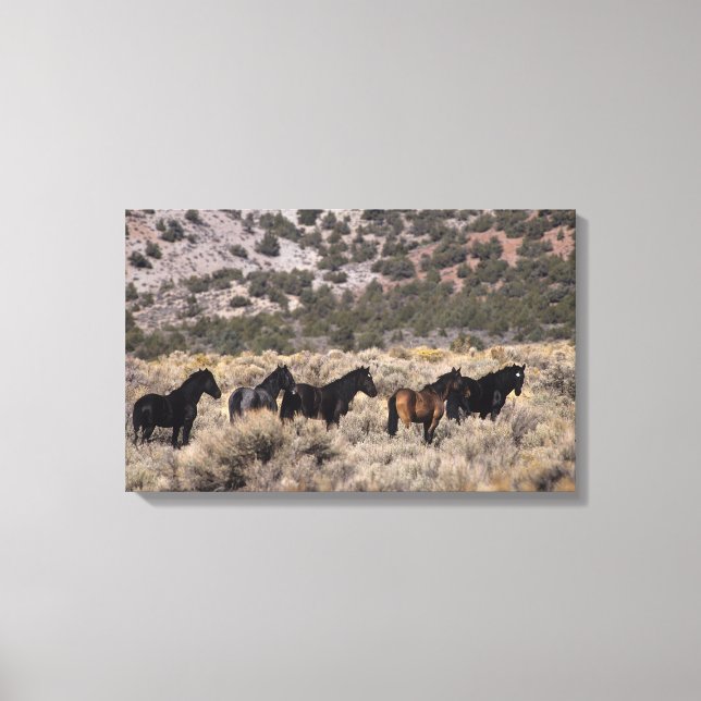 Toile Chevaux Mustang sauvages dans le désert 2 (Recto)