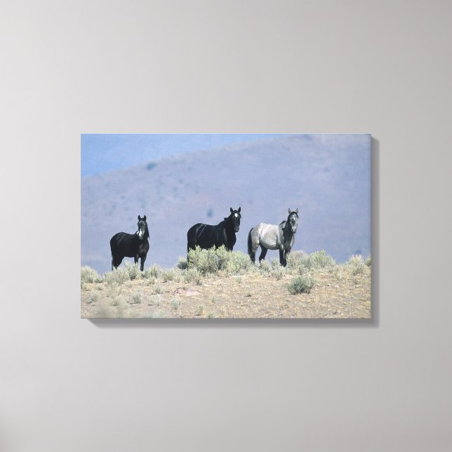 Toile Chevaux Mustang sauvages dans le désert 3 (Recto)