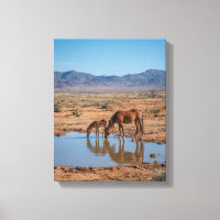 Chevaux Sauvages Reflet d'Eau du Désert Art