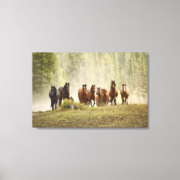 Toile Chevaux se dressant sur une petite colline pendant