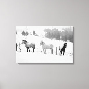 Toile Chevaux sur le ranch