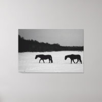 Chevaux sur neige 60x40 (150x100cm) waccna