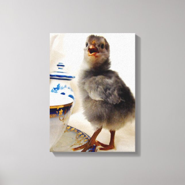 Toile Chick avec Teacup (Recto)