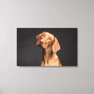 Toile Chien Brown à long cou