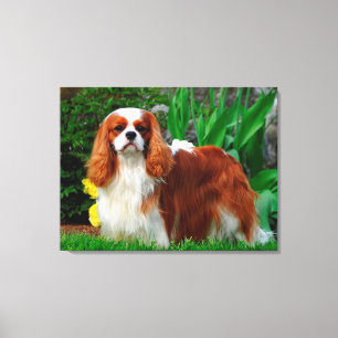 Toile Chien coquelicot de Blenheim Cavalier