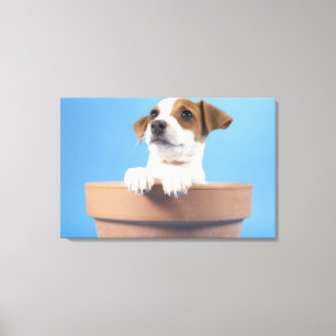 Toile Chien dans le pot de fleurs