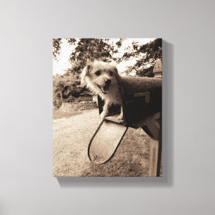 Toile Chien dans une boîte aux lettres