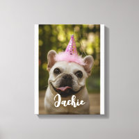 Chien de compagnie personnalisé