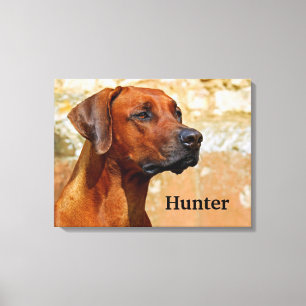 Toile Chien de Rhodesian Ridgeback