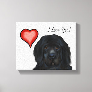 Toile Chien de Terre-Neuve