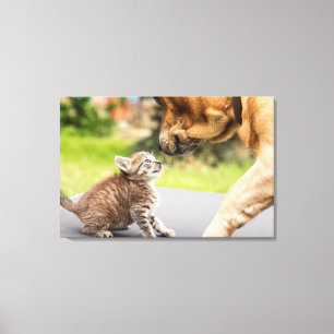 Toile Chien et chat des images de Getty dans l'amour