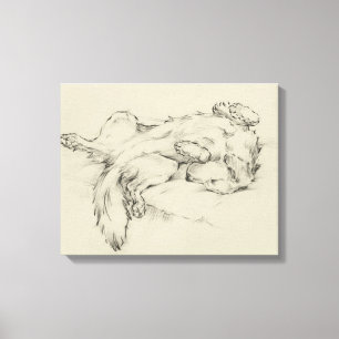 Toile Chien fatigué