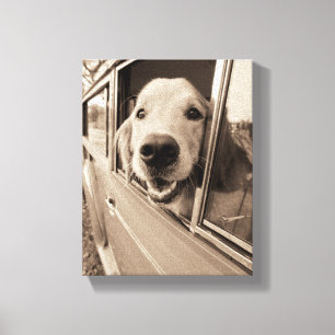 Toile Chien jetant un coup d'oeil une fenêtre de voiture