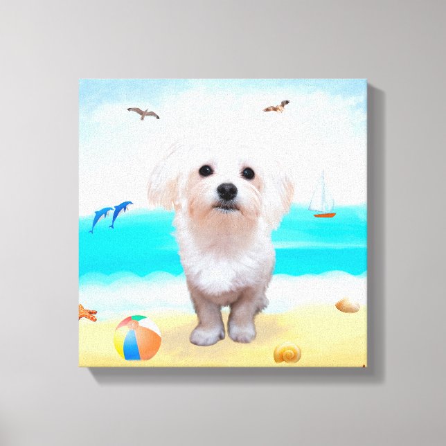 Toile Chien maltais sur la plage (Recto)