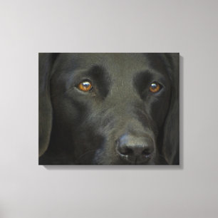 Toile Chien noir du Labrador
